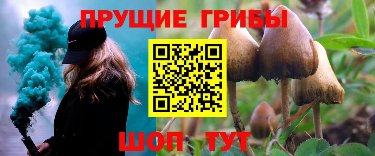 Псилоцибиновые грибы GOLDEN TEACHER Серпухов
